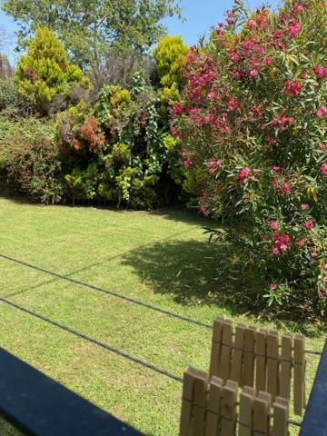 Calma Cottage Skiathos Town Luaran gambar